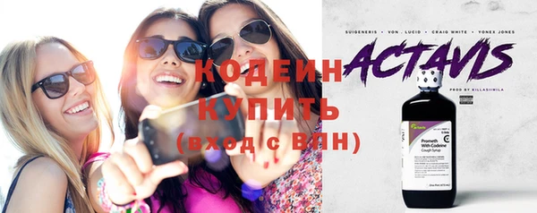 индика Кукмор