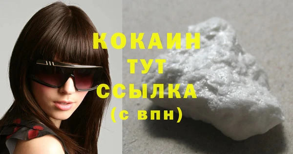 индика Кукмор