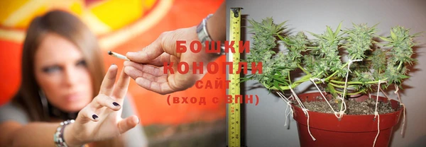 индика Кукмор