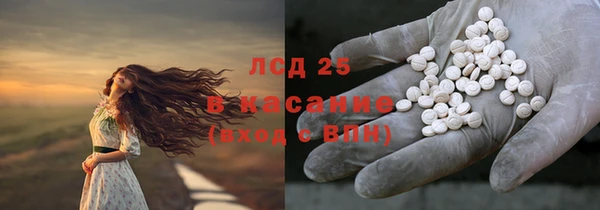 индика Кукмор