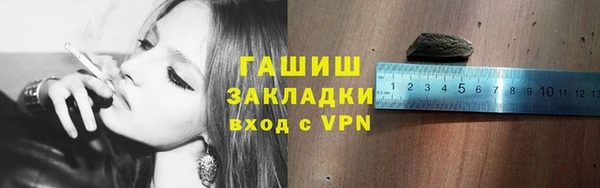 индика Кукмор