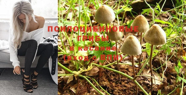 дживик Кулебаки