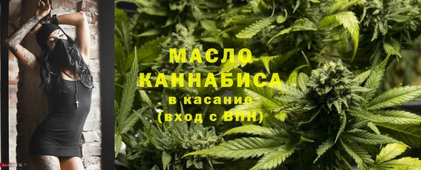 индика Кукмор