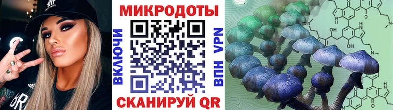 Псилоцибиновые грибы MAGIC MUSHROOMS Шарья